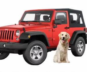 Win-a-2017-Jeep-Wrangler