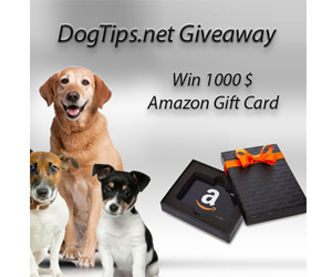 Win-1000$-Amazon-Gift-Card.