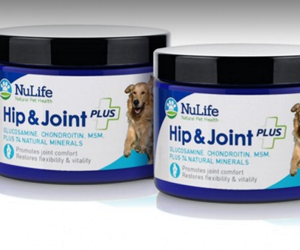 Win-Joint-Support-6-Months-Supply