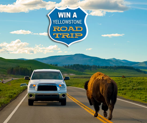 Win-One-of-4-Road-Trips-to-Yellowstone