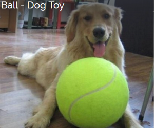 Win-awesome-GIANT-Tennis-Ball-DOG-TOY