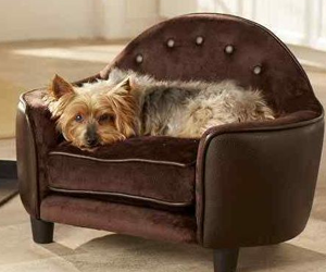 Win-Ultra-Plush-Headboard-Pet-Bed