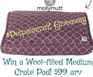 Win-a-Molly-Mutt-Wool-Filled-Crate-Pad