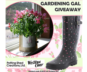 Win-a-pair-of-rain-boots