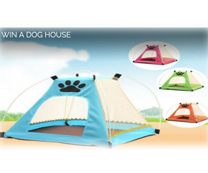 WIN-A-DOG-HOUSE