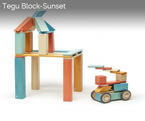 Win-42-Piece-Tegu-Block-Sunset