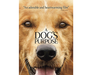 Win-A-Dog’s-Purpose-Movie-Poster-&-Blu-Ray