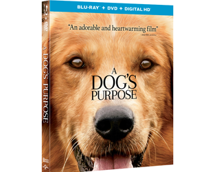 Win-A-Dog’s-Purpose-On-Blu-ray