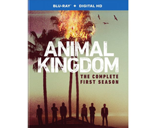 Win-Animal-Kingdom-The-Complete-First-Season-on-Blu-ray