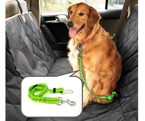 Win-Veckle-Pet-Seat-Cover-Giveaway