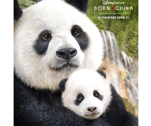 Win-a-Disneynature-Born-in-China