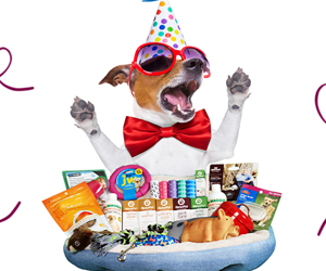 Win-the-Happy-Dog-Prize-Pack!