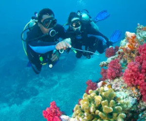 WIN-A-FIJI-DIVE-VACATION-FOR-TWO