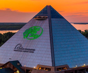 WIN-A-STAY-FOR-TWO-AT-THE-BIG-CYPRESS-LODGE-IN-MEMPHIS!