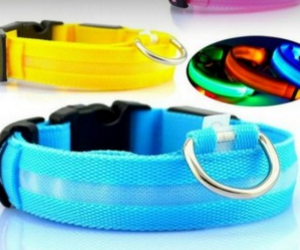 Win-Glowing-LED-Dog-Collar