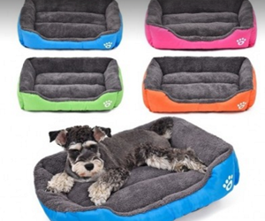 Win-Soft-SpeedyPet-Dog-Bed