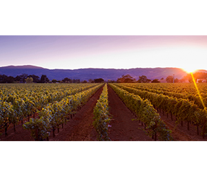 Win-getaway-to-Napa-Valley-for-two!