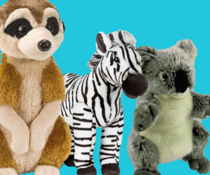 Win-your-choice-of-any-Plush-Toy